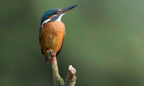 6edcefe6-2bb6-416a-97c2-5c950f0dd799