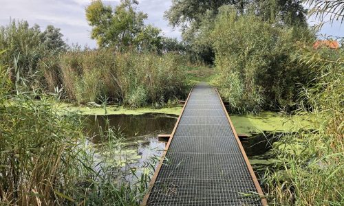 Wandelen-in-de-Biesbosch-1140x855