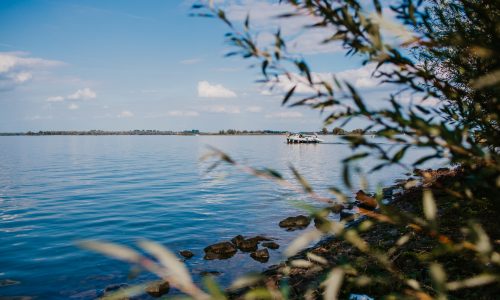 dsc-9663-20201203143143