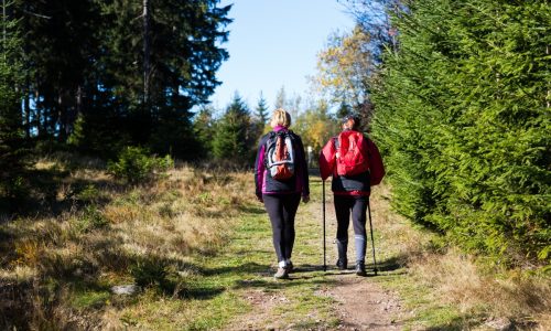 shutterstock-226155172-20170426161044-20200428121157