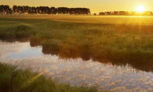 shutterstock-690188353-20200424072419_640x640